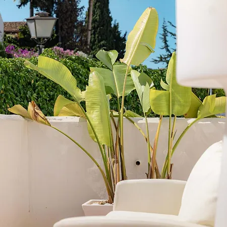 Ivy 3 Modern Bbq Gated Pool Apartment *